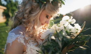 Special Events Insurance Santa Rosa